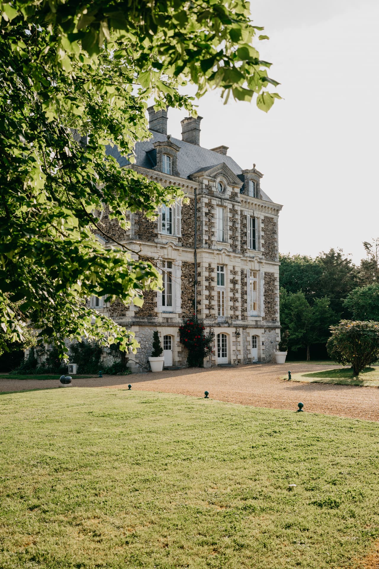 Façade d'un château de pierre aperçue sous les branches d'un arbre